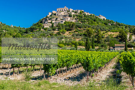 Vineyards with village of Gordes in the background, Vaucluse, Provence, France