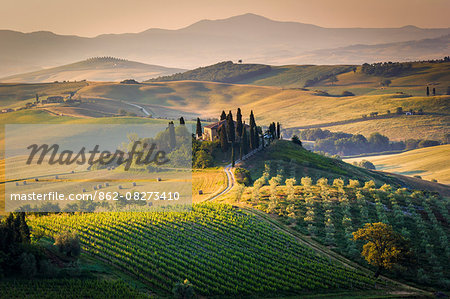 Val d'Orcia, Tuscany, Italy. A lonely farmhouse with cypress and olive trees, rolling hills.