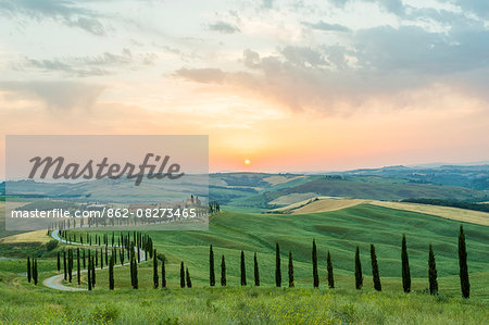 Crete Senesi, Tuscany, Italy. A lonely farmhouse with cypress and olive trees, rolling hills, Tuscany, Italy. A lonely farmhouse with cypress and olive trees, rolling hills.