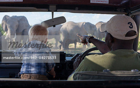Kenya, Amboseli National Park. A young tourist is enthralled by a herd of elephant.