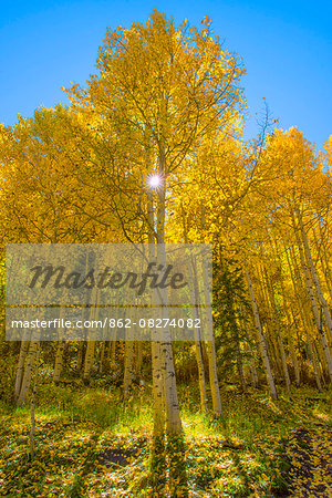 USA, Colorado, San Miguel County, San Juan Mountains, Telluride in Autumn