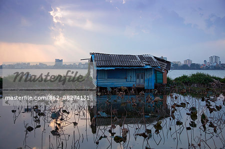 Vietnam, Ha Noi, West Lake. A ramshackle hut on stilts in Ha Noi's vast West Lake.