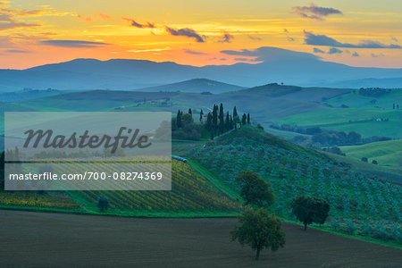Tuscany Countryside with Farmhouse at Sunrise, San Quirico d'Orcia, Val d'Orcia, Province of Siena, Tuscany, Italy