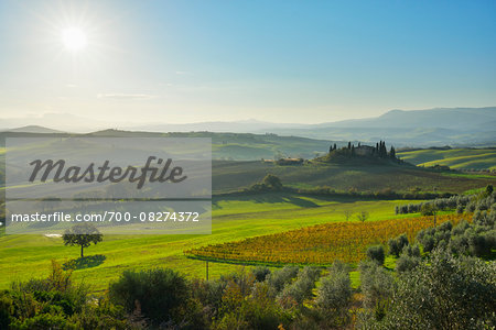 Tuscany Countryside with Farmhouse and Sun, San Quirico d'Orcia, Val d'Orcia, Province of Siena, Tuscany, Italy