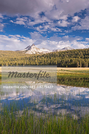 Cathedral Peak reflected in seasonal ponds on Tuolumne Meadows, Yosemite National Park, UNESCO World Heritage Site, California, United States of America, North America