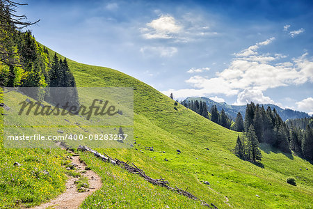 Path to the Jaegerkamp in the Bavarian Alps