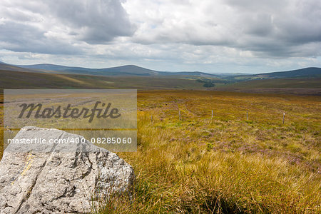 Yellow grassland Wicklow mountains landscape in Ireland