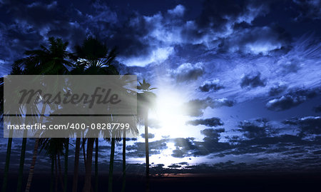 3D render of a palm trees landscape against a moonlit sky