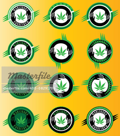 marijuana cannabis green leaf icon vector illustration