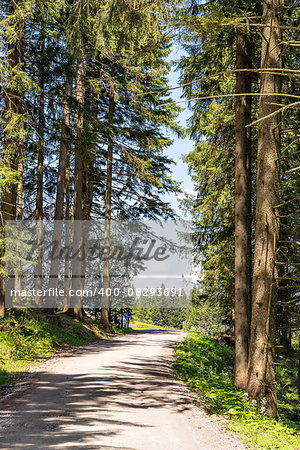 walking path on mountain Blomberg in Bavaria, Germany in summer