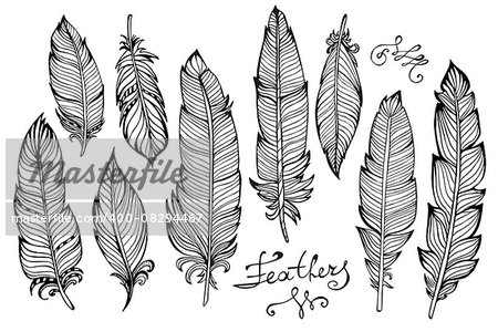 Hand drawn bird feathers  closeup big set isolated on white background. Boho style. Vector illustration