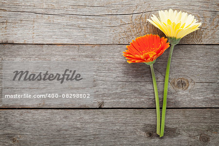 Two colorful gerbera flowers on wooden table with copy space