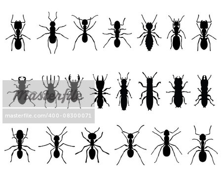 Black silhouettes of ants and termites, vector