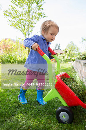 Female toddler emptying grass from toy wheelbarrow in garden