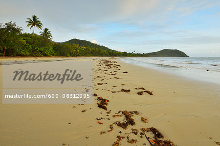 Sandy Beach, Daintree Rainforest, Cape Tribulation, Queensland, Australia