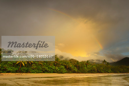Rainbow after Rain in Morning, Daintree Rainforest, Cape Tribulation, Queensland, Australia