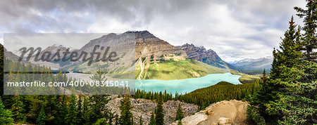 Panoramic view of Peyto lake and Rocky mountains, Alberta, Canada