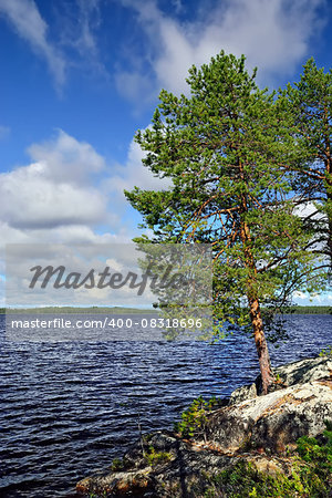 Rocky island with Pine. North Karelia, Russia