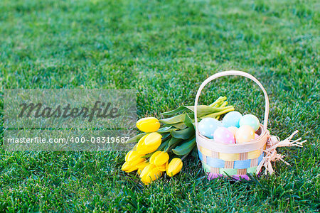 easter and spring concept, basket full of colorful eggs and yellow bright tulips on the grass