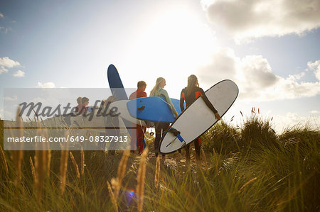 Group of surfers standing on beach, holding surfboards, rear view