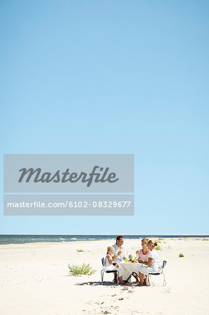 Family having meal on beach