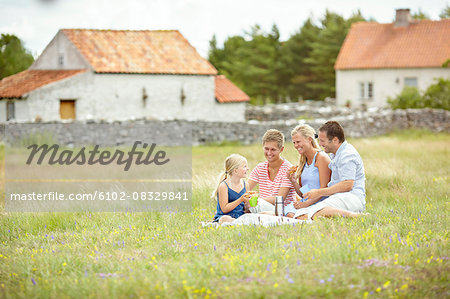 Family having picnic on meadow
