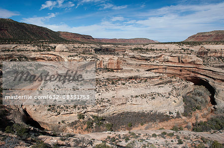 White Canyon, Natural Bridges National Monument, Utah, USA