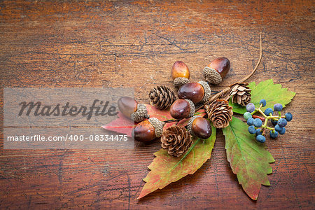 grunge weathered wood  background with acorns, cones and leaf -  fall decoration with a copy space