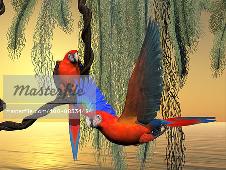 The Red and Green Macaw is an endangered species of parrot and is found in South America.