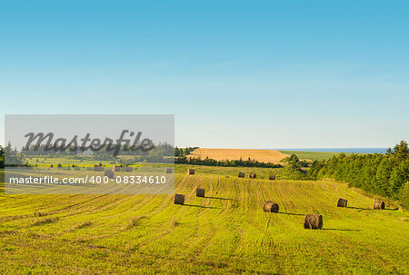 Scenic view of hay stacks on sunny day (Central Coastal Drive, Prince Edward Island, Canada)