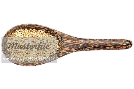 gluten free buckwheat pseudograin  on a wooden spoon isolated on white