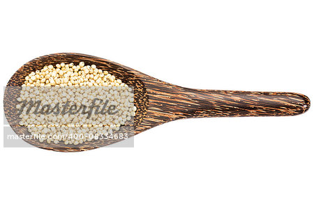 gluten free white sorghum grain on a wooden spoon isolated on white