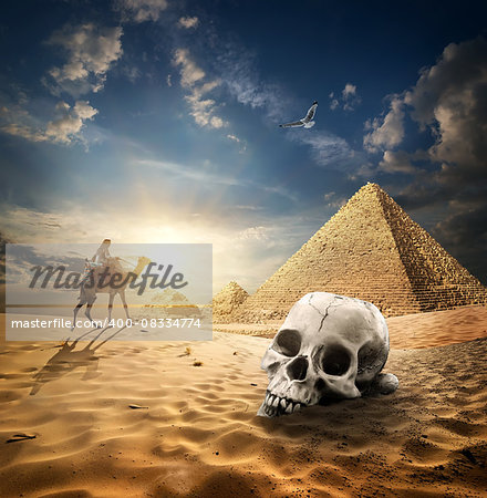 Skull near pyramids in sand desert at sunrise