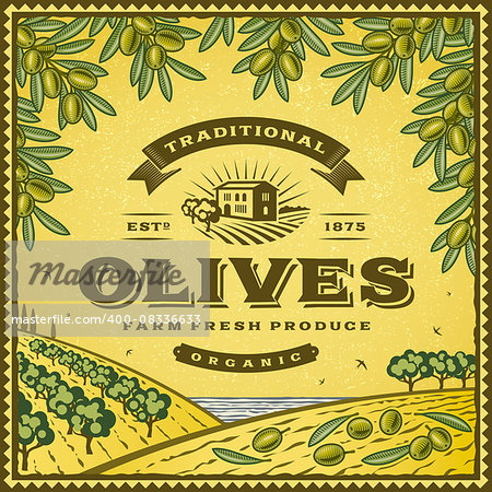 Vintage olives label with landscape in woodcut style. Editable EPS10 vector illustration with clipping mask and transparency.
