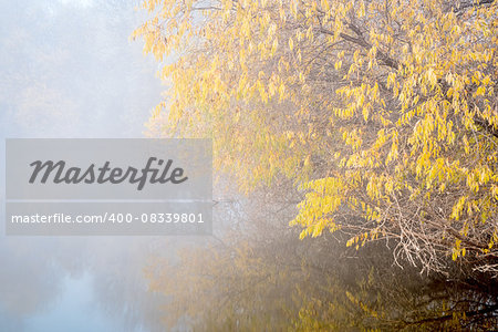 fog over lake on November morning along the Poudre River Trail in  Colorado,