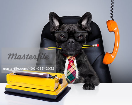 office businessman french bulldog dog  as  boss and chef , with typewriter as a secretary,  sitting on leather chair and desk, in need for vacation