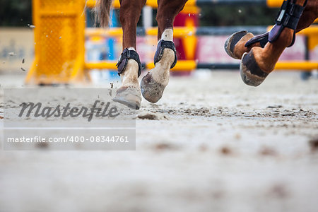 Detailed view of horse hooves at jumping competition training