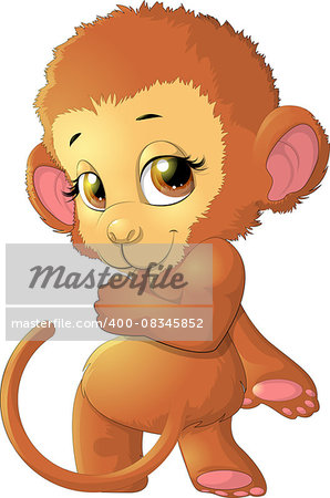 monkey sitting on a white background that looks ahead