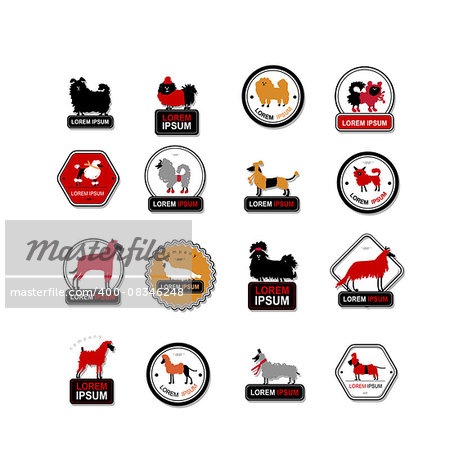 Set of labels with dogs for your design. Vector illustration