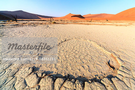 Parched ground and dead Acacia surrounded by sandy dunes, Deadvlei, Sossusvlei, Namib Desert, Namib Naukluft National Park, Namibia, Africa