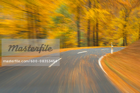 Road View from a Scenic Route in Autumn Forest, Spessart, Franconia, Bavaria, Germany