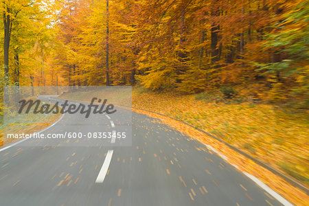 Road View from a Scenic Route in Autumn Forest, Spessart, Franconia, Bavaria, Germany