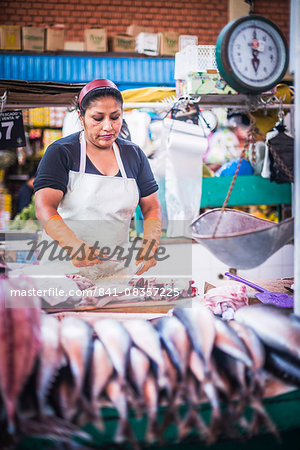 Fish stall, San Camilo Market (Mercado San Camilo), Arequipa, Peru, South America