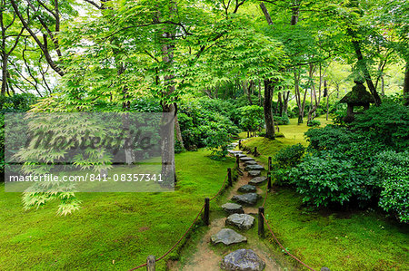 Okochi Sanso Villa garden, stone path through vibrant leafy trees with moss covered ground in summer, Arashiyama, Kyoto, Japan, Asia