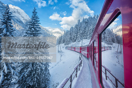 Bernina Express passes through the snowy woods, Filisur, Canton of Grisons (Graubunden), Switzerland, Europe