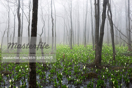 Fukushima Prefecture, Japan