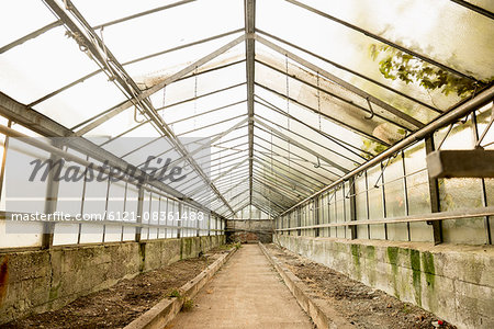 Interior of abandoned greenhouse, Munich, Bavaria, Germany Interior of abandoned greenhouse, Munich, Bavaria, Germany