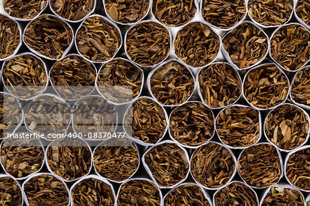 several Cigarette isolated on a white background