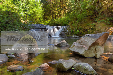 Waterfall along Sweet Creek Hiking Trail Complex in Mapleton Oregon