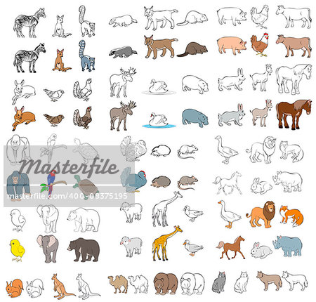 Vector illustration of a different animals set
